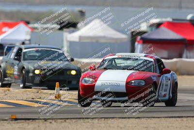 media/Oct-12-2024-Lucky Dog Racing (Sat) [[592b3fc642]]/Stint 2 From (1215pm to 140pm)/8-Turn 2/
